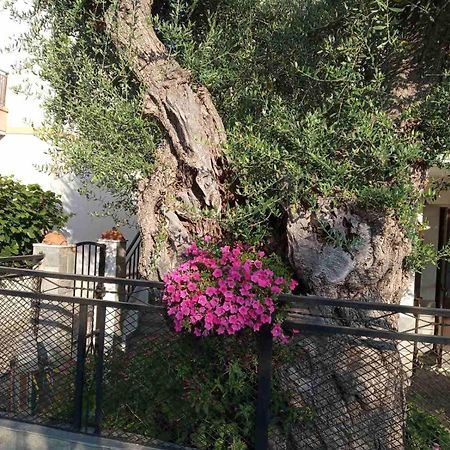 Villa Aegean Balcony Skála Kallirákhis Exterior foto