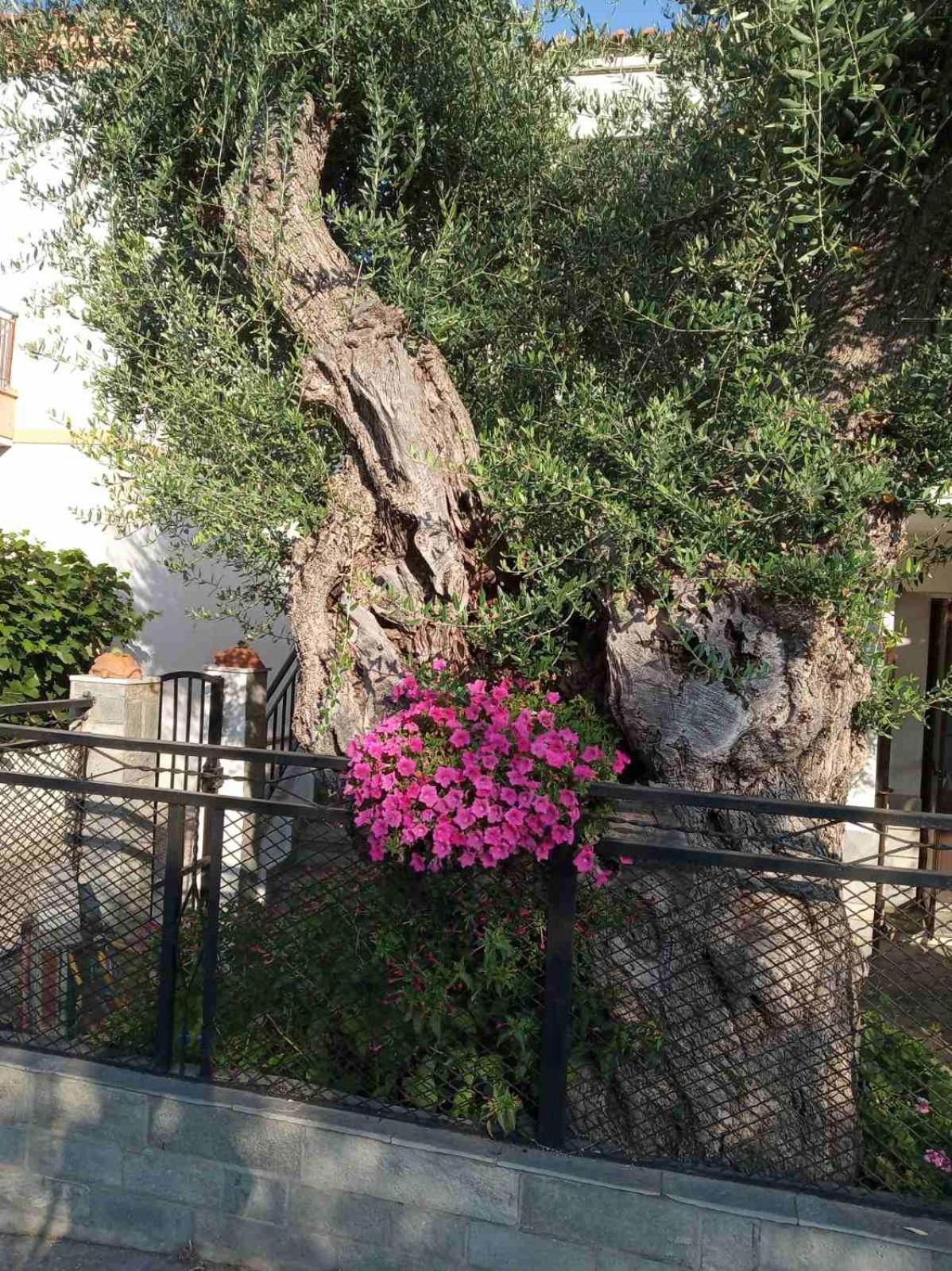 Villa Aegean Balcony Skála Kallirákhis Exterior foto